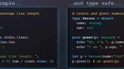 Nim (programming language) screenshot 1