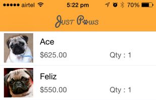 Mobile-optimized checkout and cart process API
