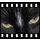 PhotoFilmStrip icon