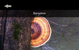 Gazeable screenshot 1