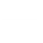 Dash - Digital Cash icon
