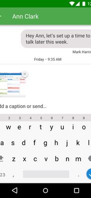 Grasshopper Virtual Phone screenshot 2