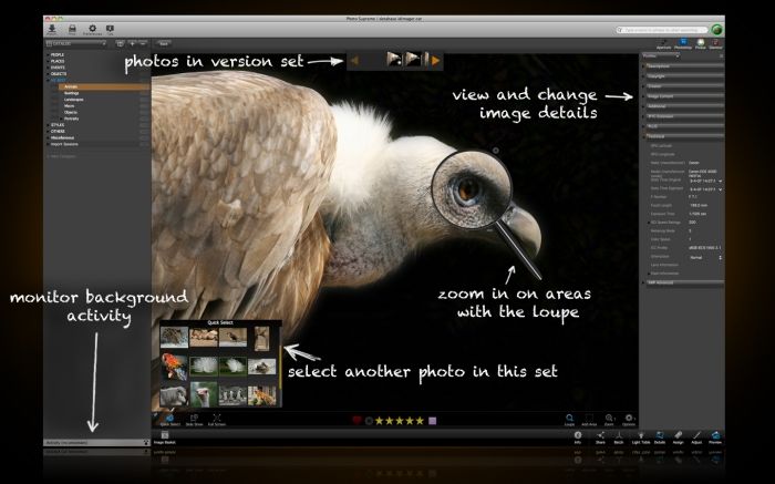 neofinder for windows neofinder for windows