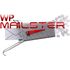 WP Mailster icon