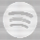 Spotify TUI icon