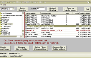 DelinvFile screenshot 1
