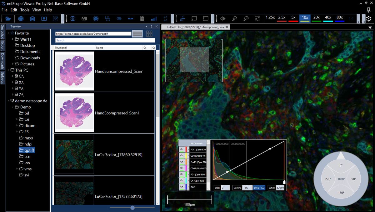 netScope Viewer App Reviews, Features, Pricing & Download AlternativeTo