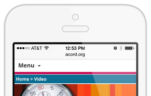 View your videos on mobile. Create playlists and sort by popularity...