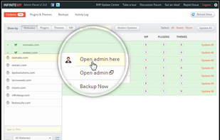 InfiniteWP screenshot 1