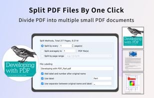 PDF Page Editor-PDF Merger screenshot 3