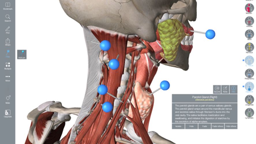 Essential Anatomy 5: With Over 8,200 Structures, Our Highly Accurate ...