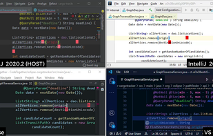 Multiple IDEs in a single session