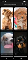 Dog Wallpaper Cute Puppies HD screenshot 1