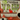 NVIDIA VR Funhouse Icon