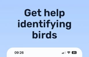 Birda - bird ID & Birding screenshot 2