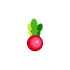 Funky Radish icon
