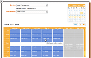 the online booking system that works right on your website