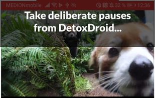 DetoxDroid screenshot 3