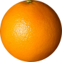 OrangeWebsite icon