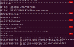 pre-commit screenshot 1