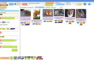 Specific searches:
Combine tags to search to fit your search requirements.