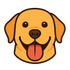 ProxyBridge icon
