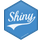 Shiny icon