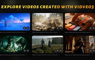 VidVeo3 screenshot 2