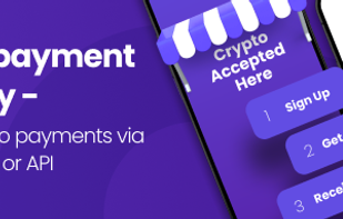 Crypto payment gateway Swapin