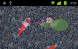 aniPet Koi Live Wallpaper screenshot 1