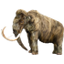 Mammudeck icon