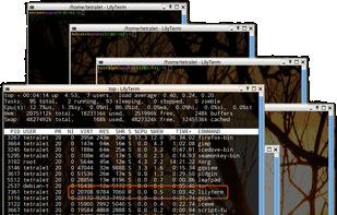 LilyTerm screenshot 1