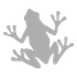 GlassFrog icon