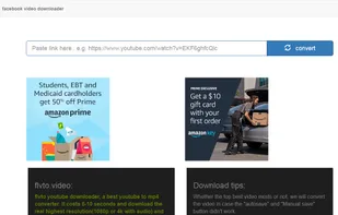 flvto.video screenshot 1