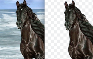 Remove Background from images