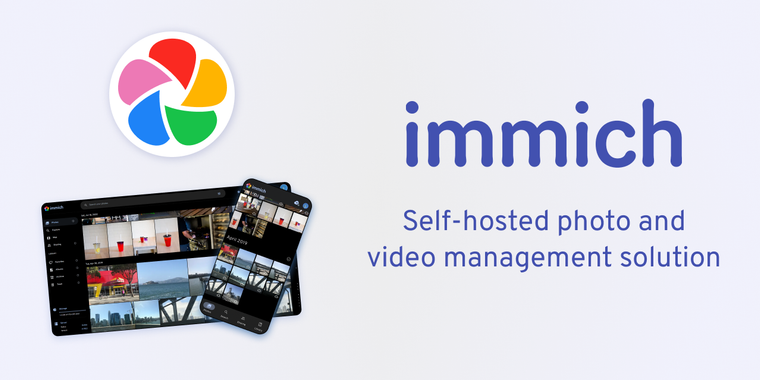 Immich 1.137 adds beta timeline improvements, shared link custom URL and large file finder image