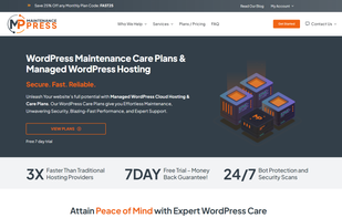 WordPress Maintenance Service