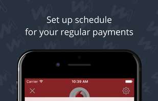 Wallet One screenshot 2