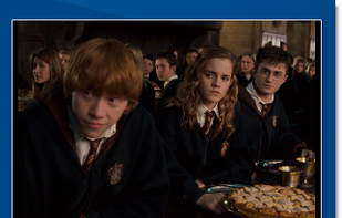 The video preview screen.