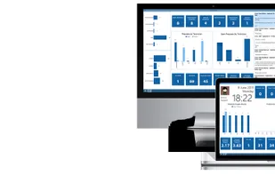NetHelpDesk screenshot 2
