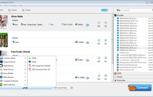Add any books to remove drm and convert the format