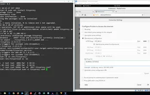 TinyProxy screenshot 1