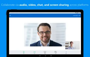 TeamViewer Meeting screenshot 2