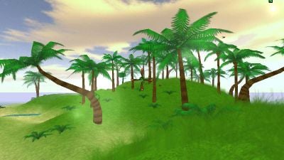 Palms