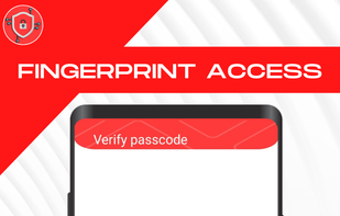 Password Insight screenshot 3