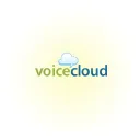voicecloud icon