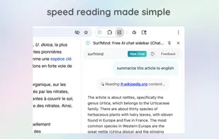 surfmind screenshot 1