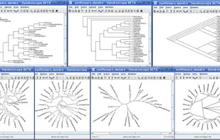 Dendroscope screenshot 1