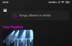 Offline Music Player for Android screenshot 1