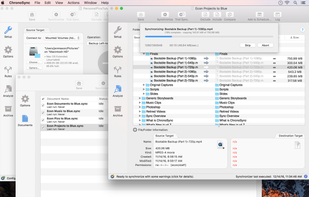 Create multiple synchronizer documents and add them to a Container.